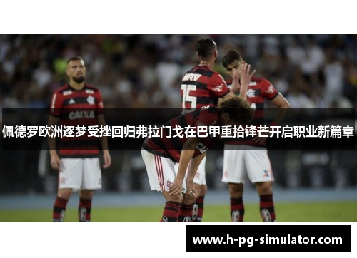 佩德罗欧洲逐梦受挫回归弗拉门戈在巴甲重拾锋芒开启职业新篇章 佩德罗欧洲逐梦受挫回归弗拉门戈在巴甲重拾锋芒开启职业新篇章