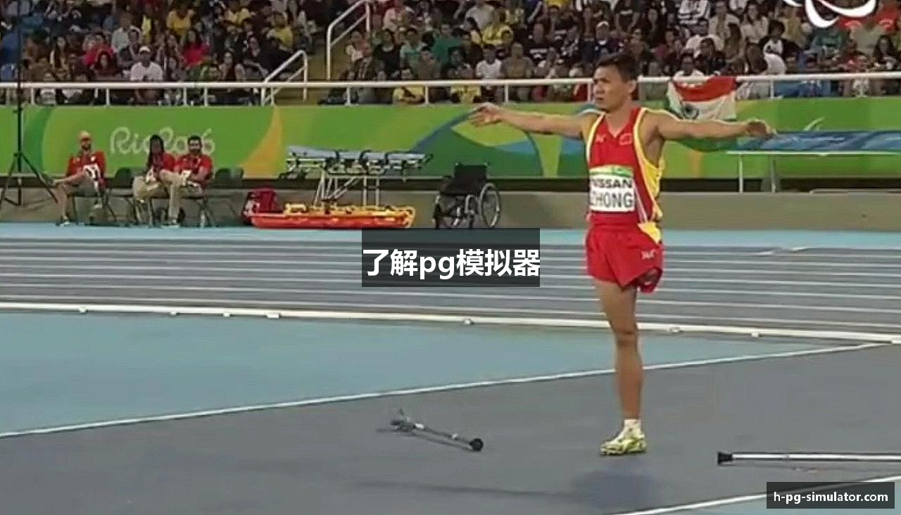 了解pg模拟器